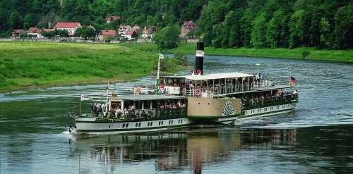 Gruppenausflug und Gruppenticket in Dresden: Sächsische Dampfschifffahrt: Schiff PD-Pillnitz unterwegs auf der Elbe